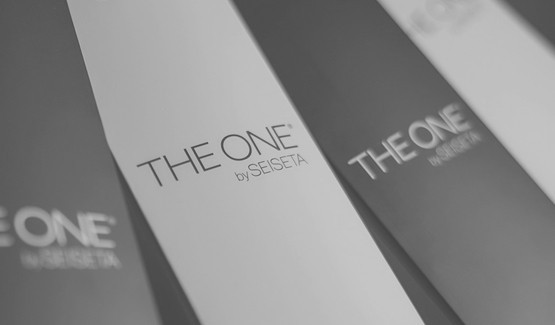 ABOUT THE ONE